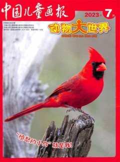 动物大世界